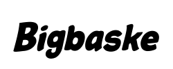 Bigbaske - logo